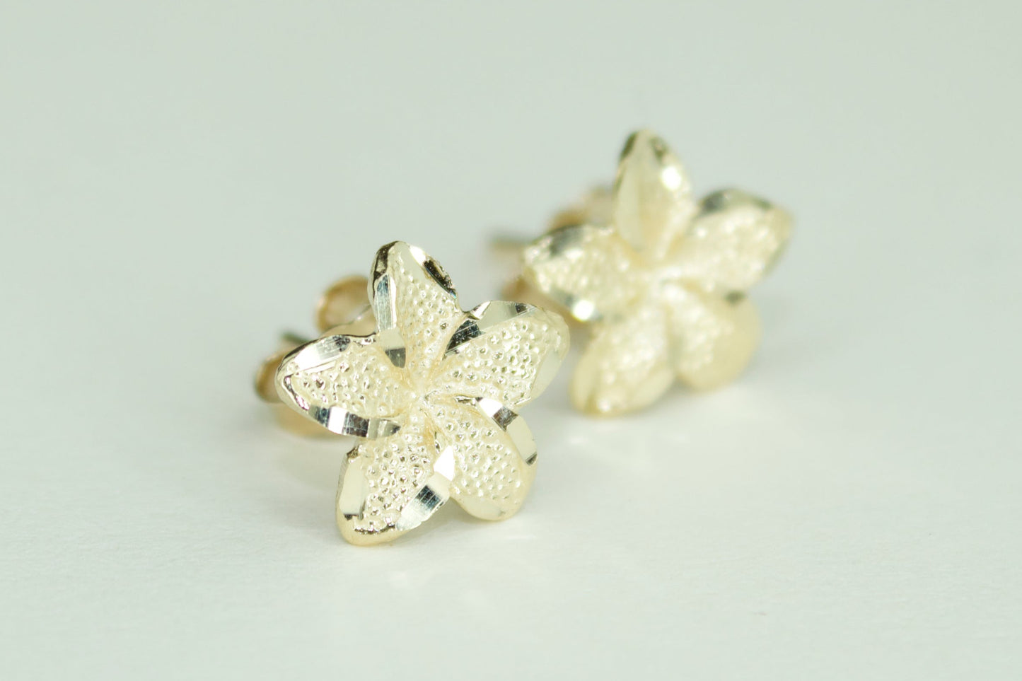 Eternal Hibiscus Studs