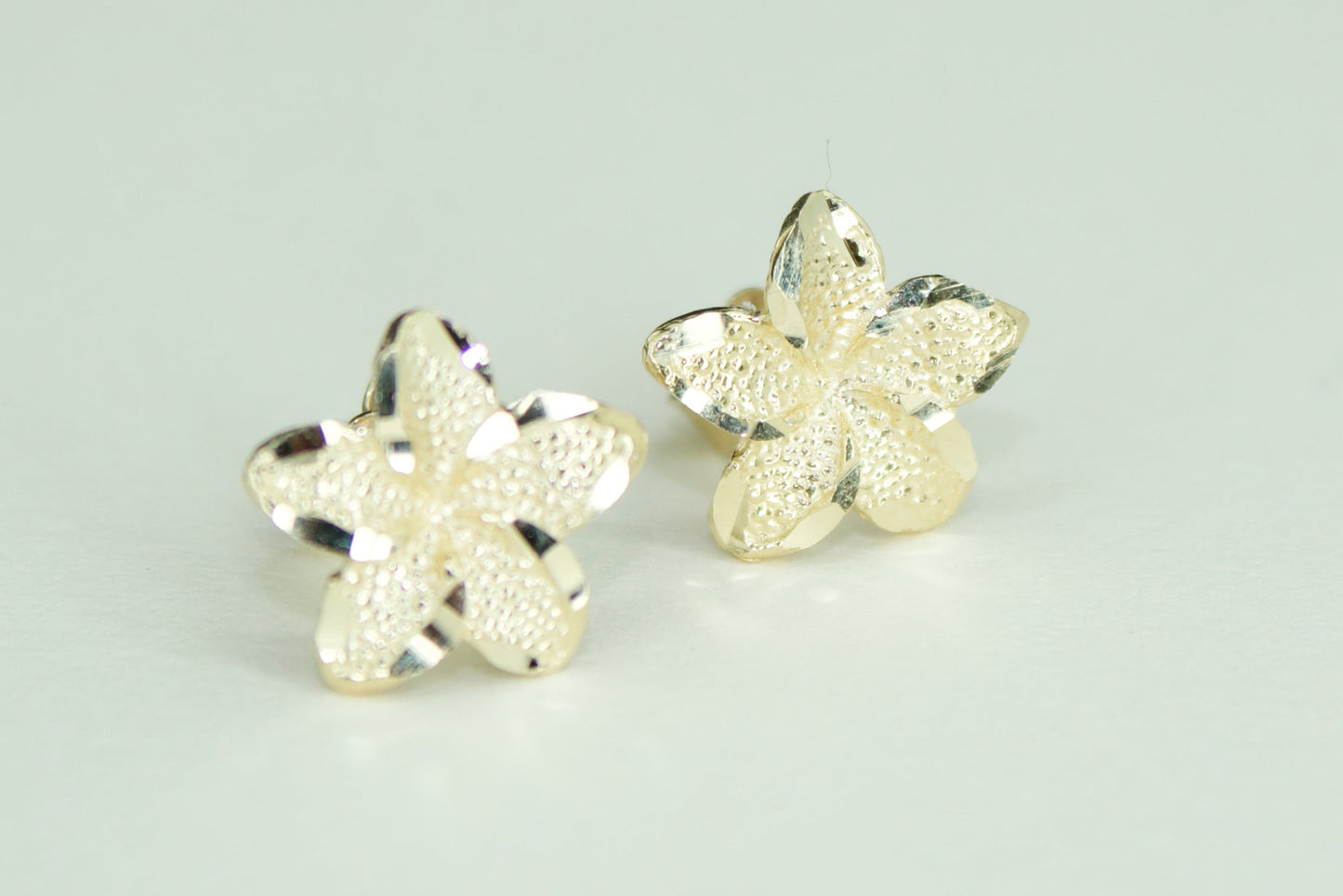 Eternal Hibiscus Studs
